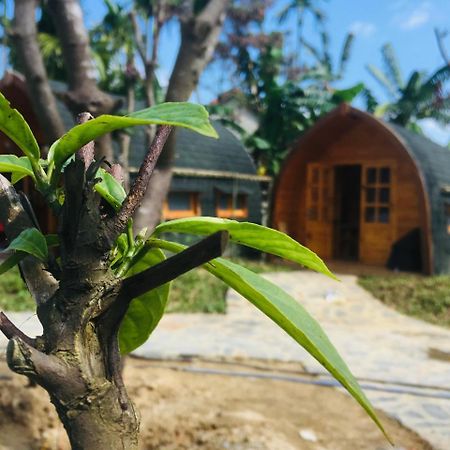 Coco-Farm Hoi An Apartment Bagian luar foto
