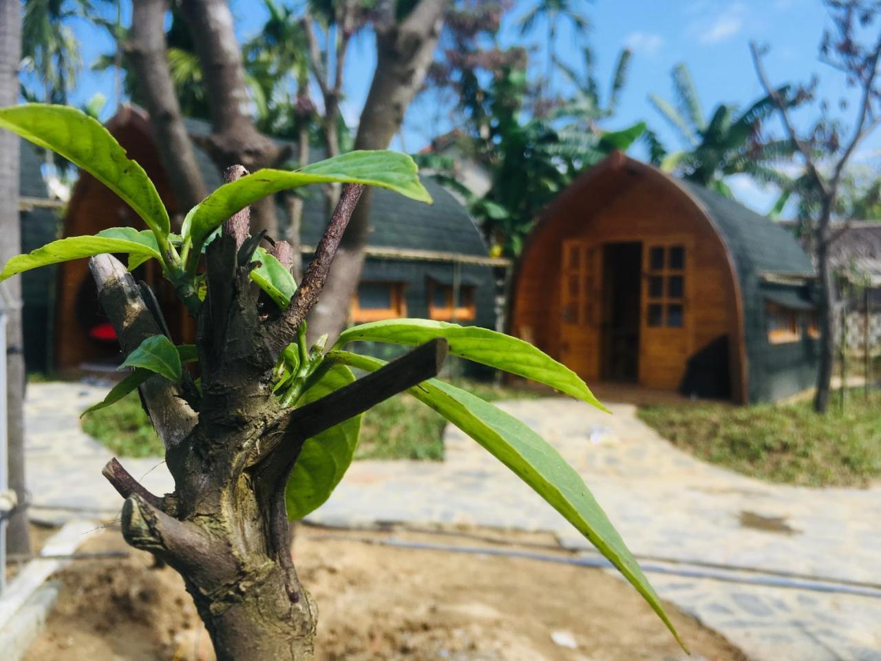 Coco-Farm Hoi An Apartment Bagian luar foto